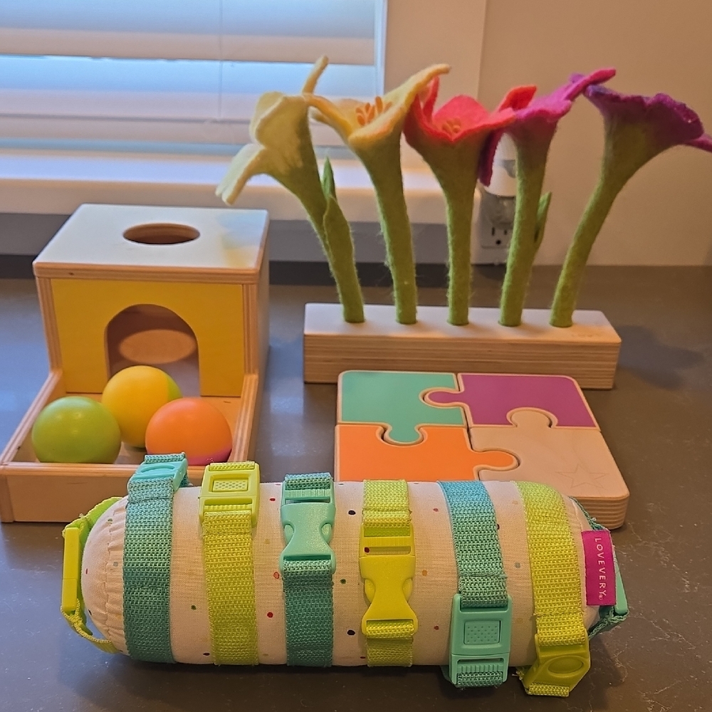 Lovevery Multicolor Learning Toy Set for Kids